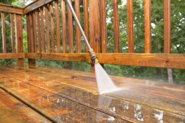 Best Dumpster Area Cleaning  in Weston Mills, NY